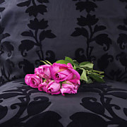 Flower Tapety - Kvety 4806 - latexová